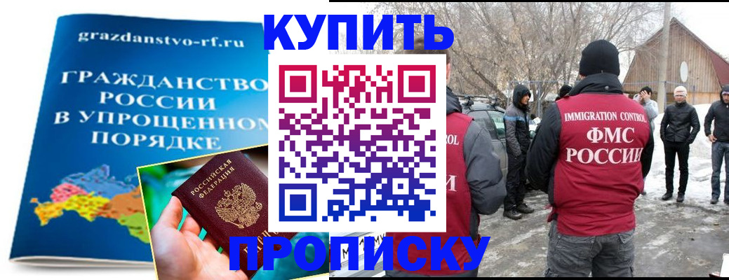 временная регистрация поиск в Камчатской области